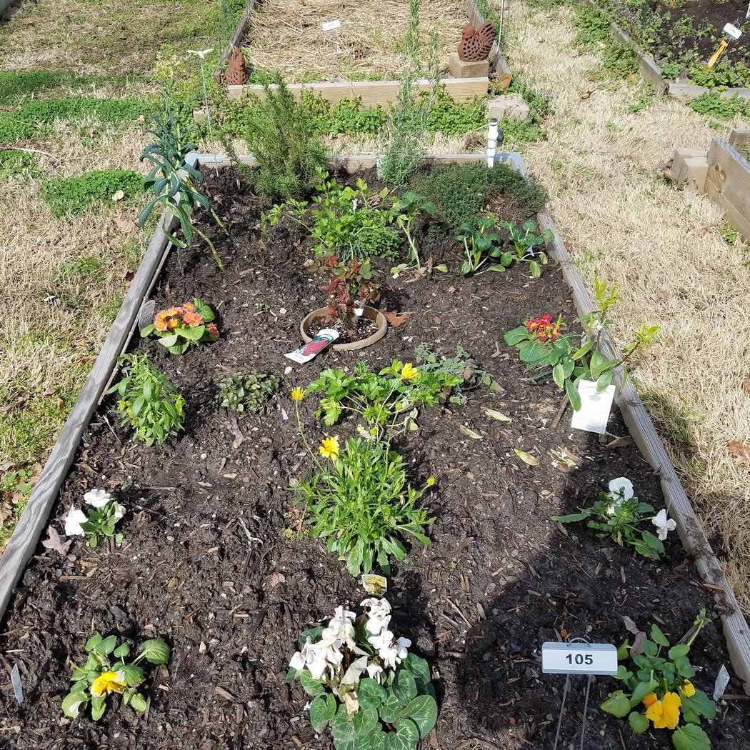 Harvest Time 5